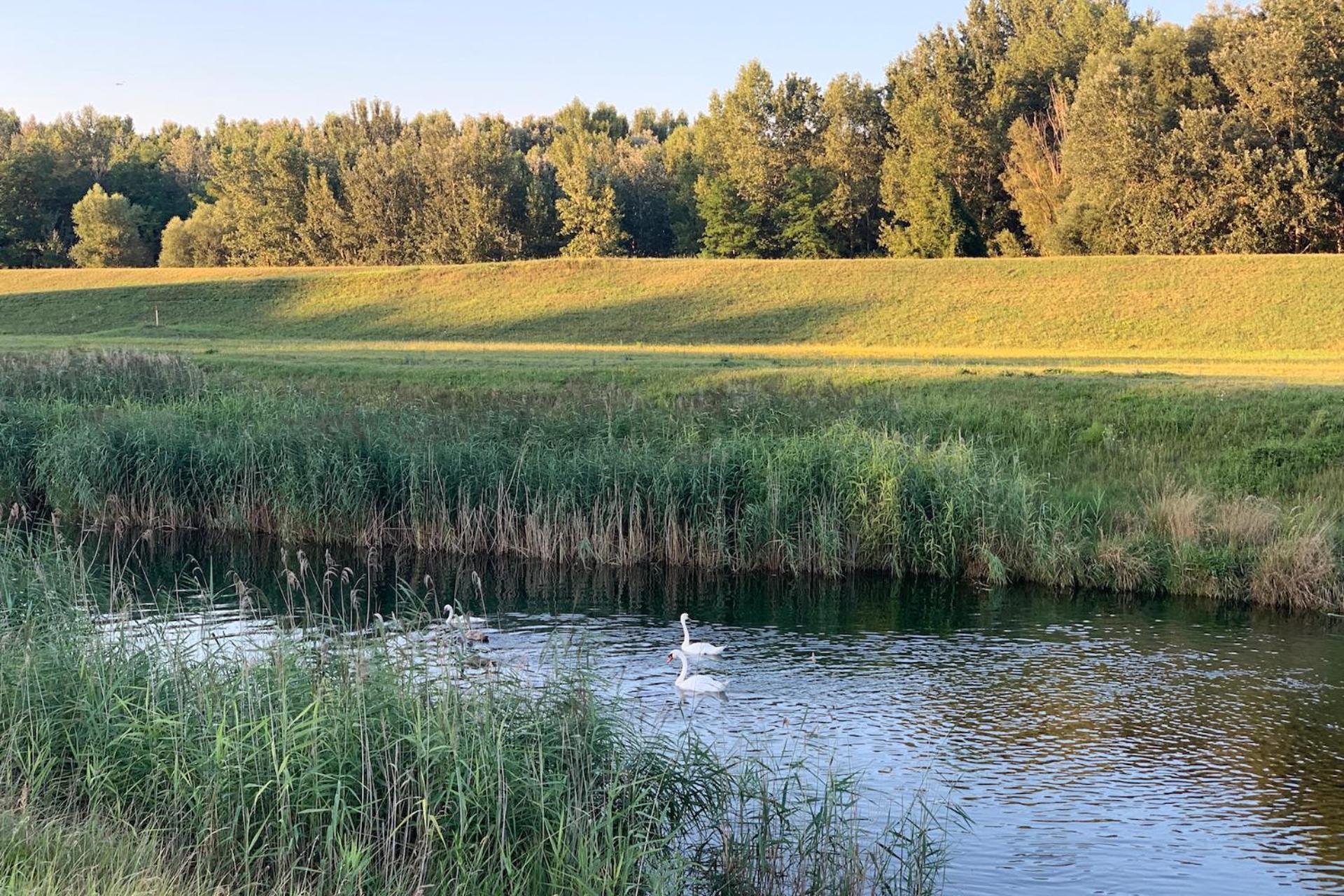 Hotel Ponteo - Activity Park Братислава Екстериор снимка